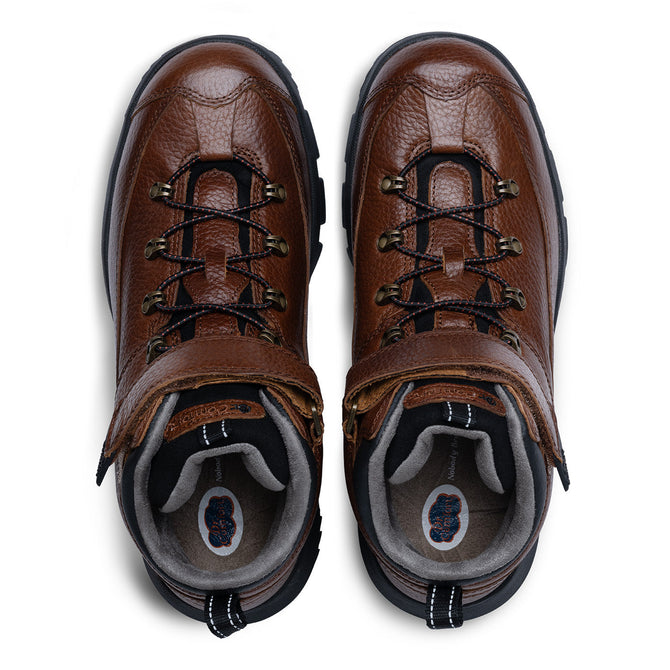 Chestnut